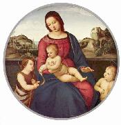 RAFFAELLO Sanzio Madonna Terranuova, Szene: Maria mit Christuskind und zwei Heiligen, Tondo china oil painting artist